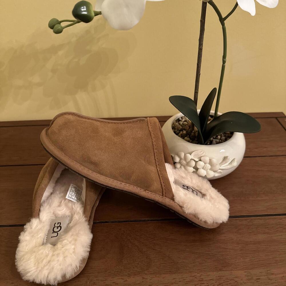 UGG NIB Pearle Scruff Slipper Chestnut Shearling Lined Women's US 5 EU 36
